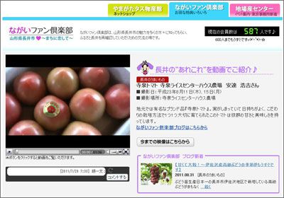 【動画アップしました～寺泉の秋トマト】