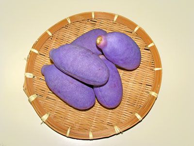 【美味しい秋いっぱい！～あけび出荷始まります】