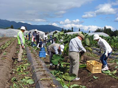 【アルクセッション秋の旅～里芋掘って足軽街道を歩きました】