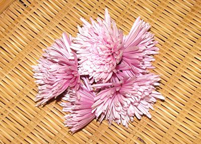 【美容に！健康に！“もってのほか”良い食用菊】