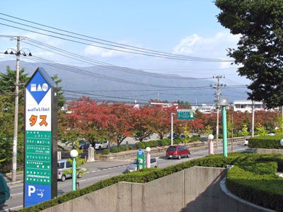 【小さい秋み～つけた！】