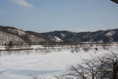 【春の予感】