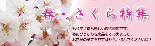 【桜商品入荷しました♪】