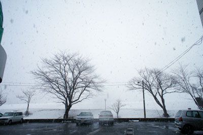 【今日の天気は・・・】