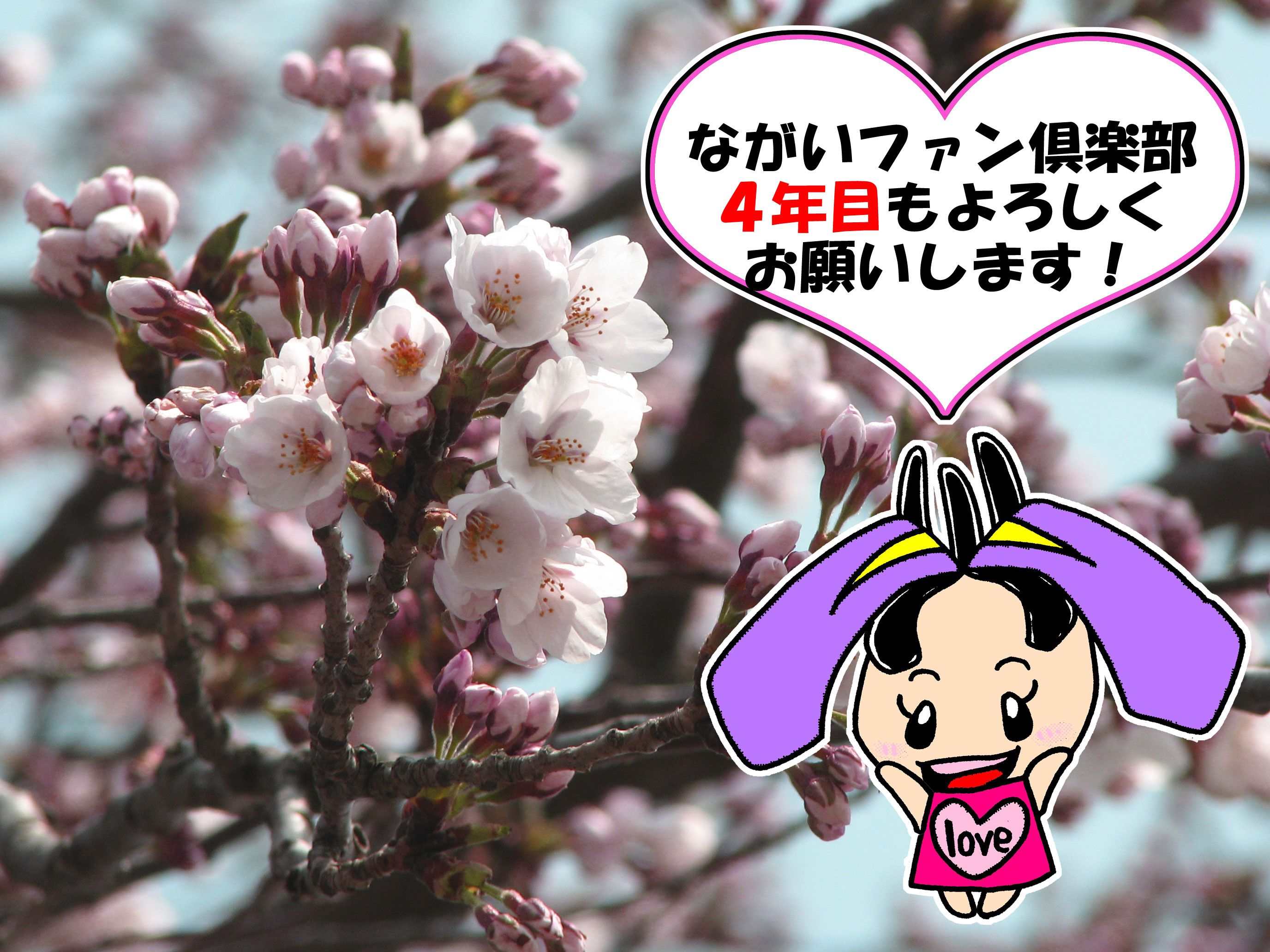 【ながいファン倶楽部４年目スタートです！】