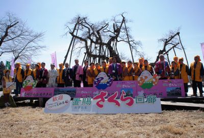 【いよいよ！置賜さくら回廊が開幕です！】
