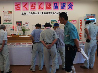 【今年の長井さくらんぼ王者は!?～さくらんぼ品評会】
