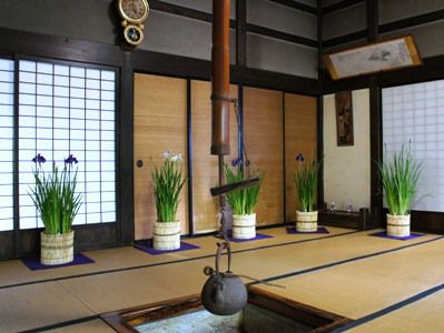 【可憐なあやめをご覧ください～長井あやめ大華展】