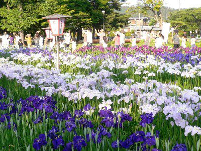 【７月７日、“新”長井おどり大パレード☆ﾟﾐ】