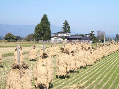 【長井の秋を探しに～ぶらり♪】
