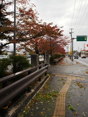 【冬を感じる天気】