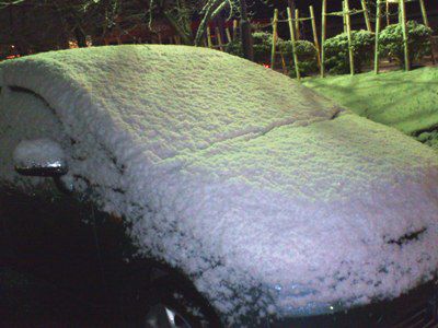 【ゆき・雪！】
