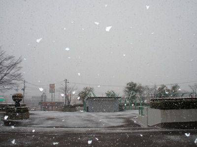 【外見てびっくり！モサ雪】