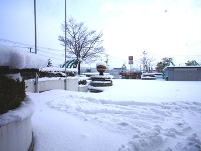 【雪降った～！】