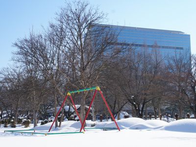 【冬のつつじ公園】
