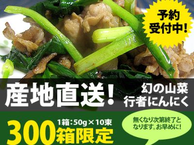 【『行者にんにく』予約受付中！】
