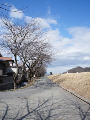 【ぽかぽか陽気に誘われて♪】