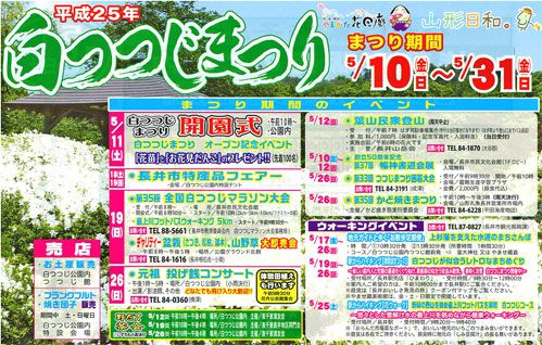 【5月10日から白つつじまつりです！ in 長井】