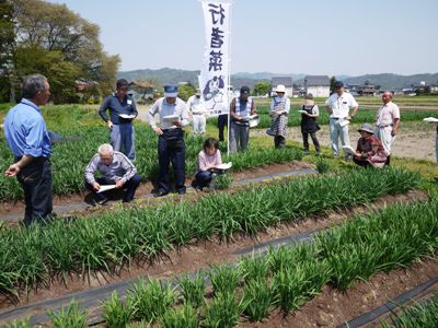 【出荷開始！～行者菜目揃い会】