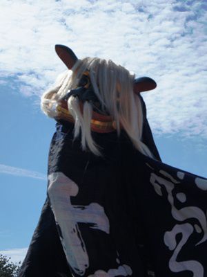 【第24回ながい黒獅子まつり～十日町　白山神社】