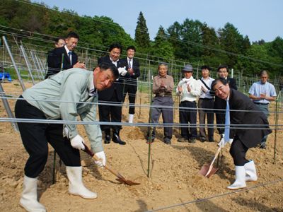 【長井産のブドウで高級ワインを！】