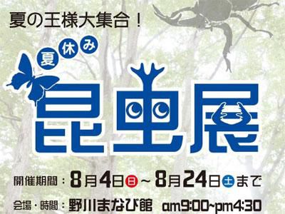 【夏の王様大集合！夏休み昆虫展】