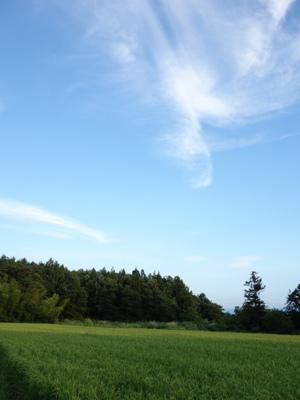 【ぁ！“秋の気配”みーつけた♪】