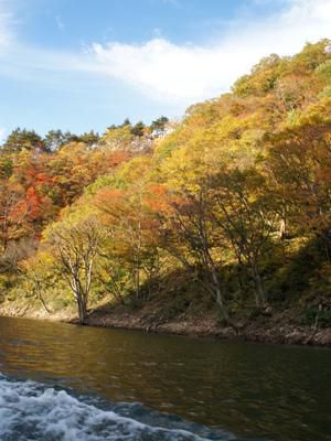 【長井ダム百秋湖、秋の遊覧】