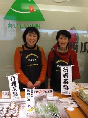 【ひなた村フェア in 銀座のお知らせ】