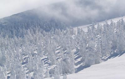 【山形のお土産に！樹氷ロマン】
