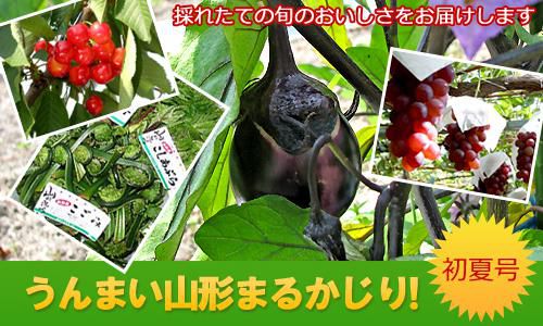 【「うんまい山形まるかじり　2014初夏号」できました！】