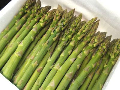 【新鮮！夏どりアスパラ】