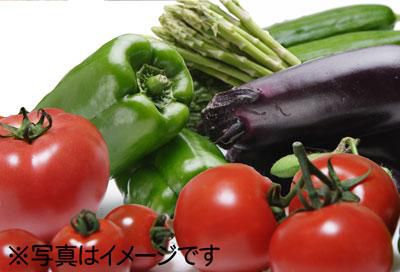 【新登場！おまかせ電子野菜セット】