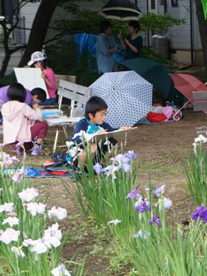 【雨の中のあやめ写生大会】