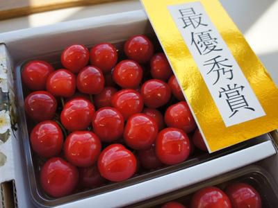 【今年の長井産さくらんぼの出来は！？】