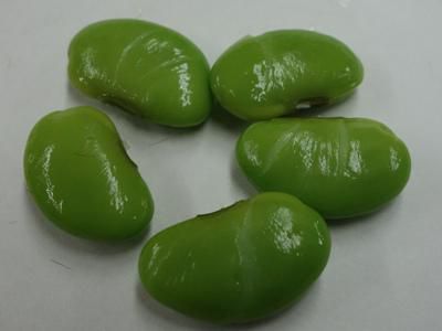 【馬のかみしめ試食～伝統野菜と新野菜を楽しむ会】