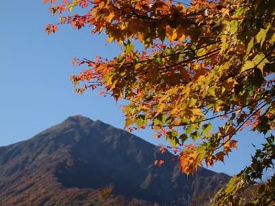 【長井の秋風景】