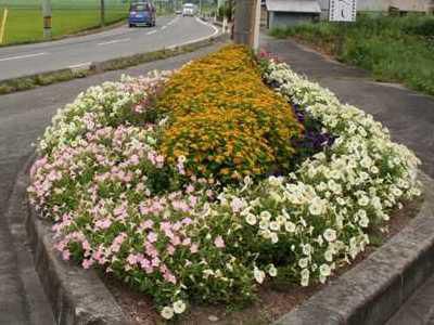 【長井市花いっぱいの街づくり推進事業、参加団体募集中！】