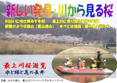 【最上川桜遊覧　～川から見る桜～】