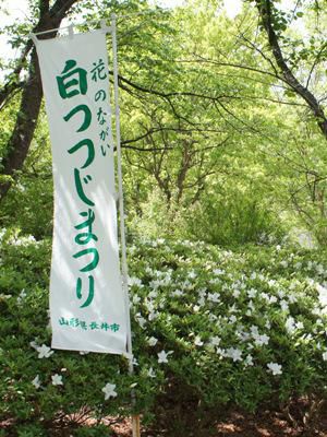【白つつじまつり開園式】
