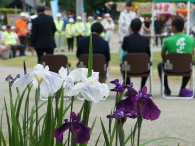【長井あやめまつりオープニング＜予告＞】