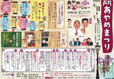 【長井あやめまつり始まります♪】