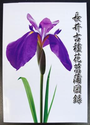 【長井古種花菖蒲図録がリニューアルしました】