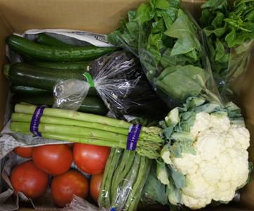 【電子野菜セット発送開始】