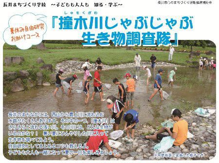【「撞木川じゃぶじゃぶ生き物調査」においでよ～】