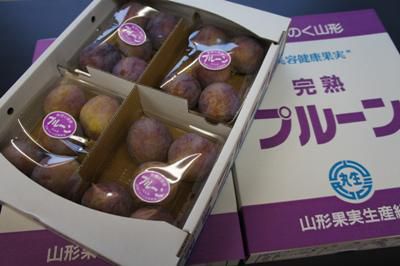 【山形県産プルーン パープルアイ ! ! 】
