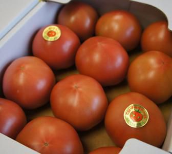 【寺泉トマト　もうすぐ終了です！】