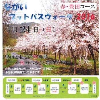 【ながいフットパスウォーク　春コース＋さくら通信】