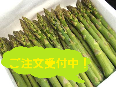 【柔らかくて甘い！春どりアスパラガス】