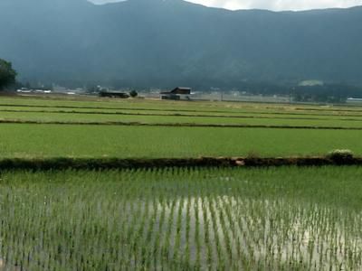 【今の長井市】